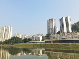 河畔高楼林立的城市风光