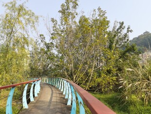 湖畔彩桥通向葱郁树林