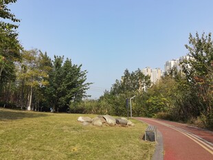 城市中的休闲绿色步道