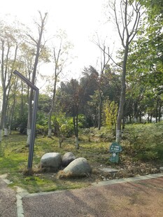 城市公园中的自然景致