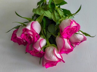 粉色渐变玫瑰花束