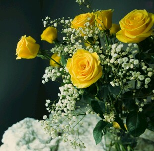 黄玫瑰与满天星插花