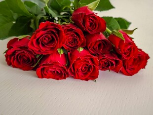 娇艳红玫瑰一束