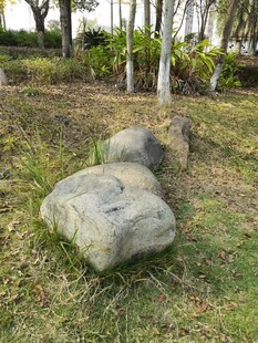 草地上的两块大石头