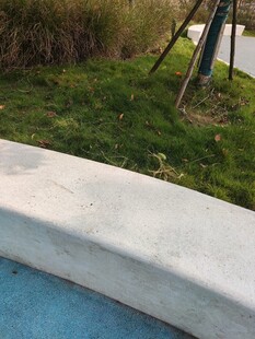 户外泳池边的绿植景观