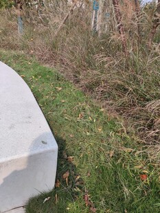 户外混凝土长椅与草地