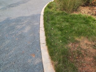 路边草地与灰色路面