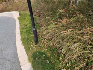 路边绿植与黑色灯杆景观