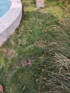 户外草地与石景景观