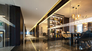 现代风格豪华室内走廊空间