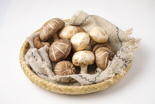 篮子里的新鲜蘑菇