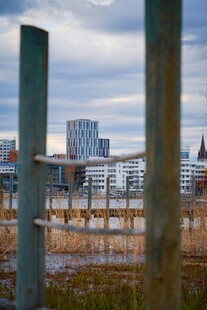 户外木桩与远处建筑景观