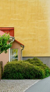 黄色建筑旁的绿植景观