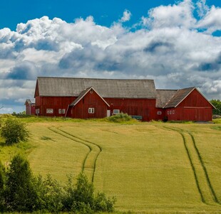 田园红屋 广袤绿野风光
