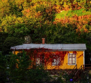 秋日山林中的温馨小屋