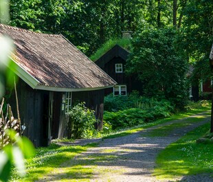 林间小屋 静谧的自然景致