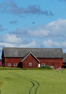 乡村红屋旁的开阔绿草地