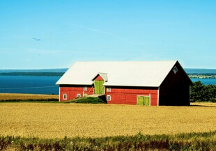 田野边的红顶农舍