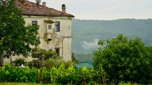 乡村旧屋 绿意环绕的景致