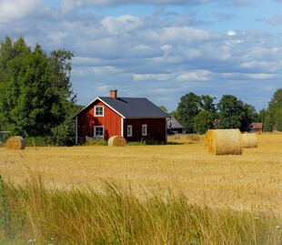 田野中的红顶小屋