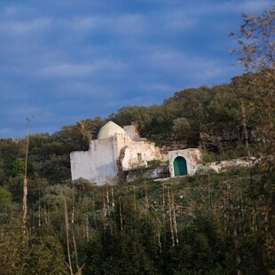 山间白屋隐于葱郁植被