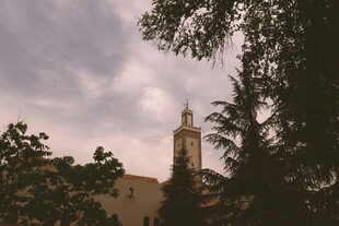 黄昏下的塔楼与繁茂树木