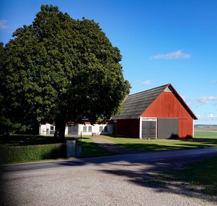 乡村红屋旁的大树与蓝天