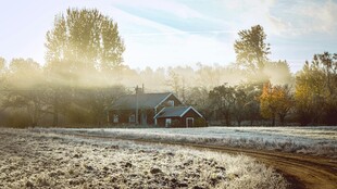 秋日晨景中的静谧乡村