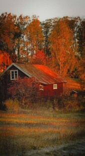 秋日红屋 绚烂自然景致