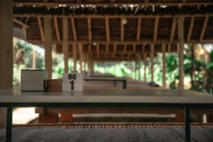 丛林中的木质休闲平台