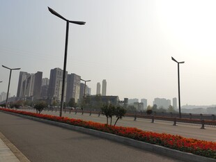 城市道路景观路灯与花卉