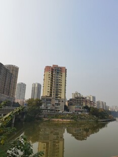 河畔高楼景致