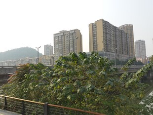 城市住宅区与绿植景观