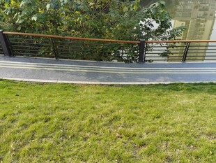 户外木质平台与翠绿草坪