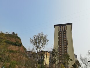 山坡旁的高耸建筑