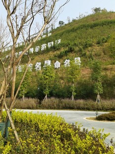 山坡绿植与路旁景观