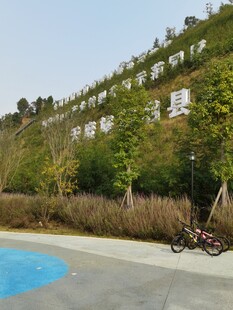 户外泳池旁的绿植景观