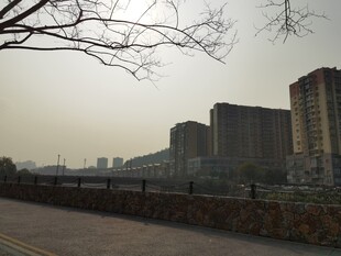 城市道路旁的高楼景观