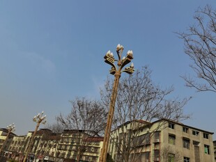 城市街道上的独特路灯