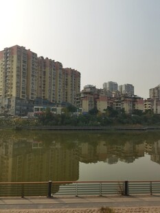 城市湖畔的高楼倒影