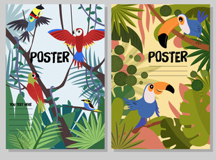 热带鸟类海报插画设计