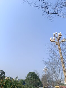 户外景观中的装饰灯柱