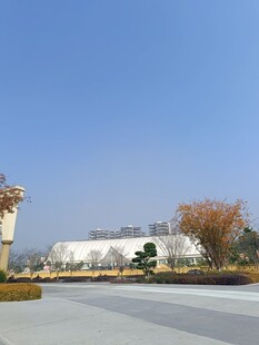 宽阔道路旁的现代建筑景观