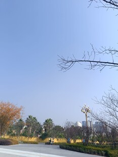 冬日公园静谧景致