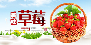 草莓 