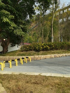 道路旁的黄色隔离桩设施