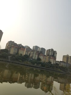 湖畔高楼倒影美景