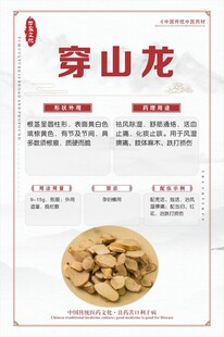 穿山龙中药材产品展示图