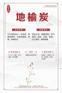 地榆炭中药材产品介绍页