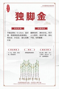 独脚金中药材介绍